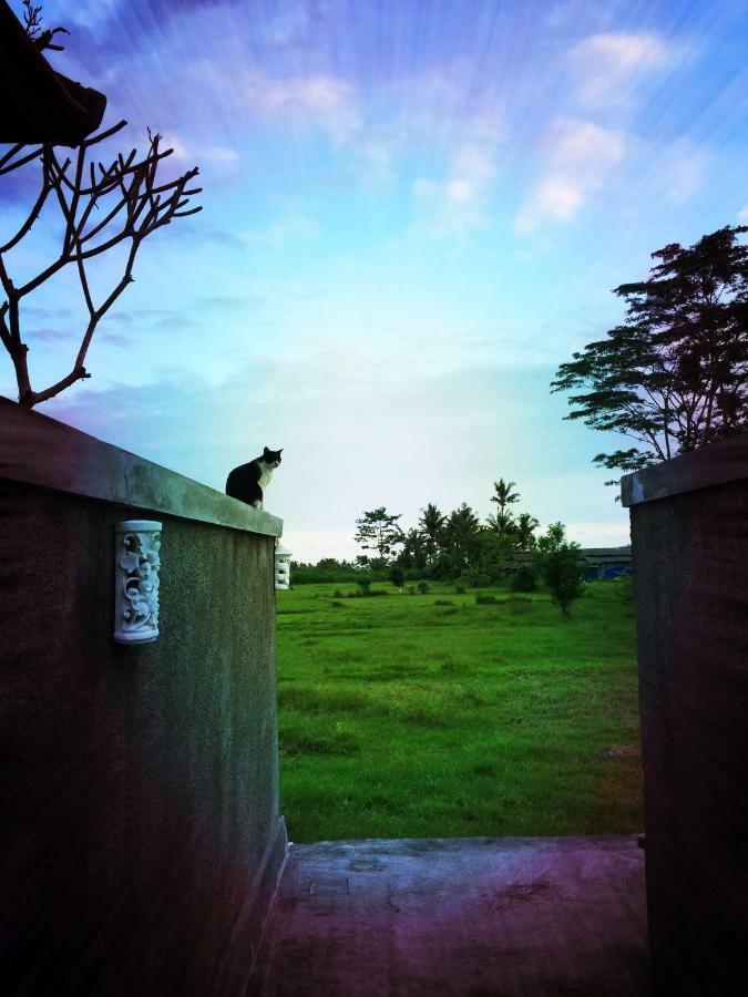 Villa Saia Ubud Esterno foto